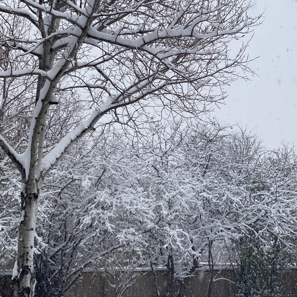 Meet your Posher, Kathy - Picture 1 of 1